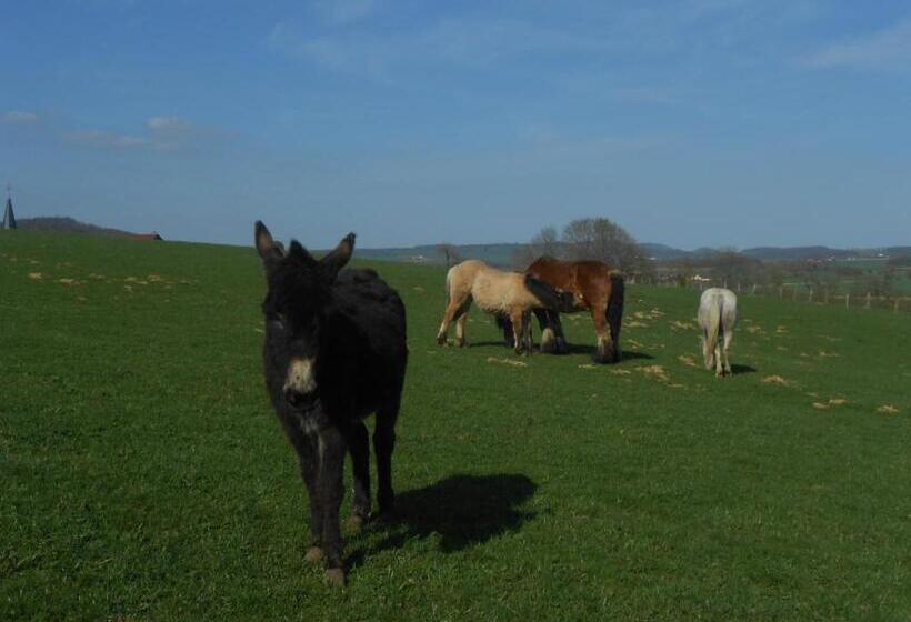 بنسيون La Ferme Des 3 Suissesses