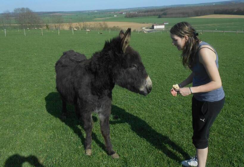 פנסיון La Ferme Des 3 Suissesses