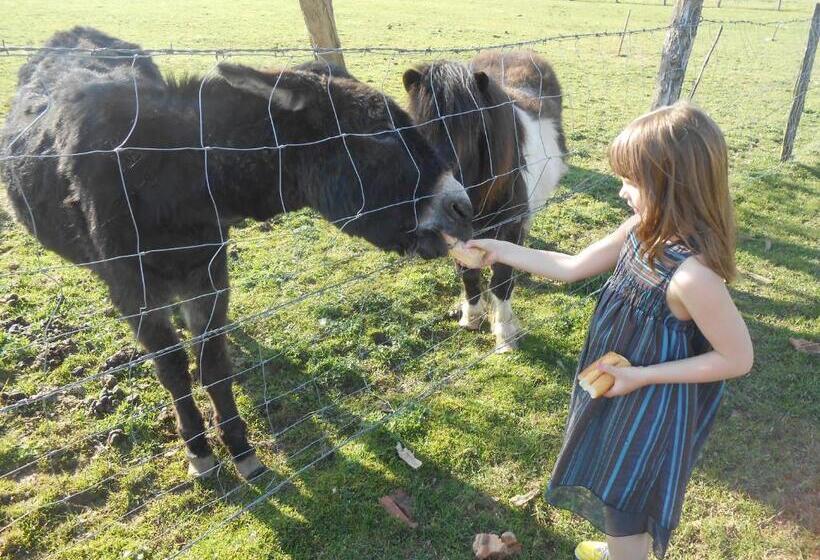 بنسيون La Ferme Des 3 Suissesses