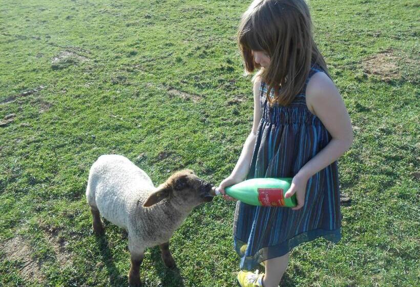 פנסיון La Ferme Des 3 Suissesses