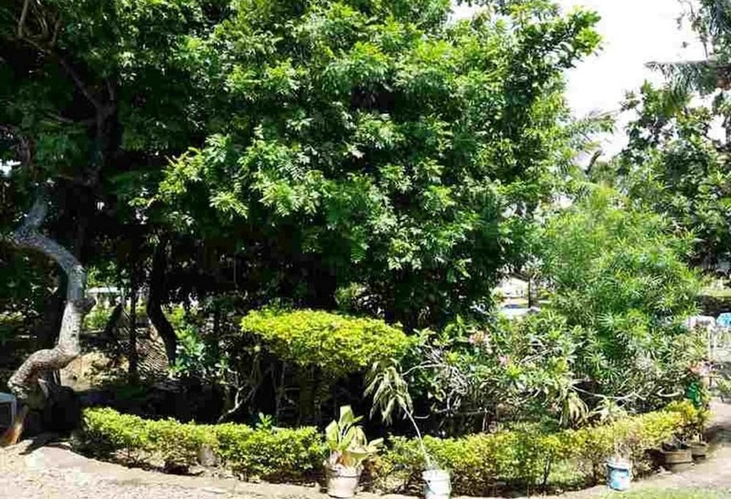 پانسیون Lapu Lapu Cottages & Restaurant