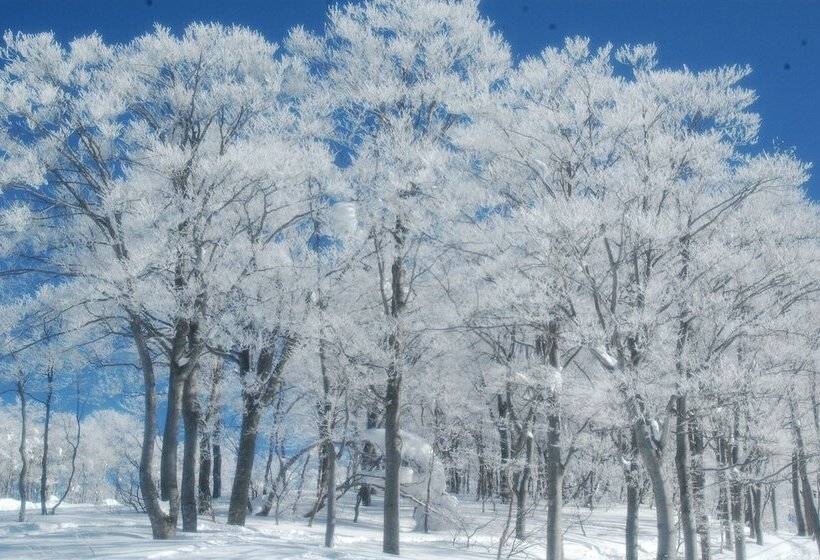 منتجع Harvest Skijam Katsuyama