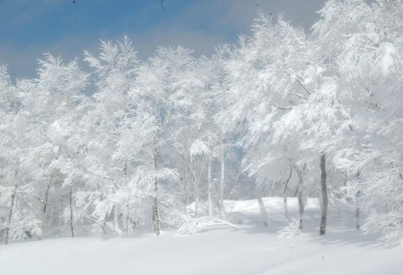 منتجع Harvest Skijam Katsuyama