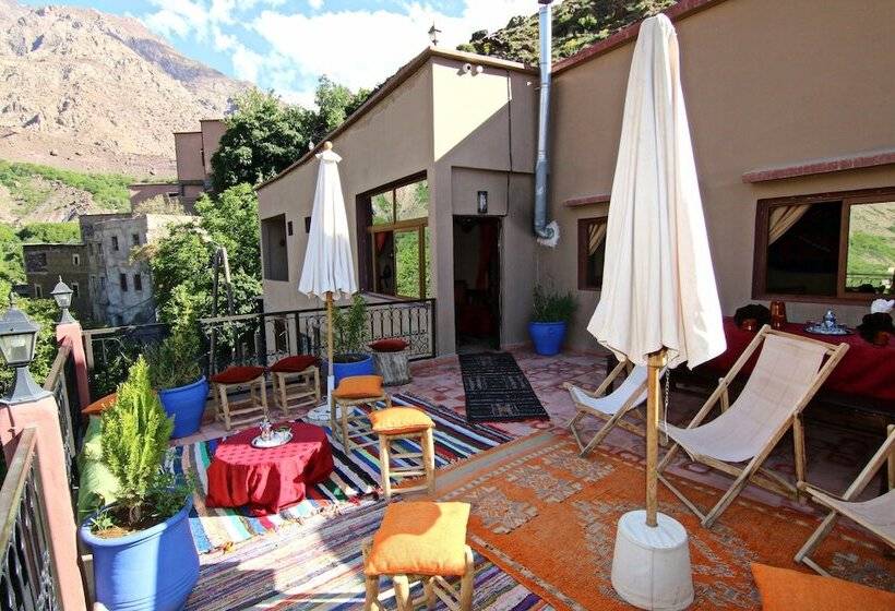 ریاض Atlas Prestige