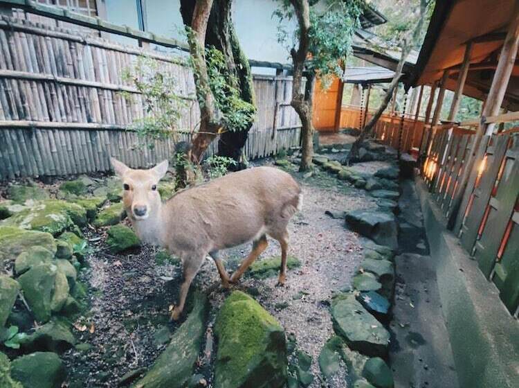 Рёкан Tsukihitei