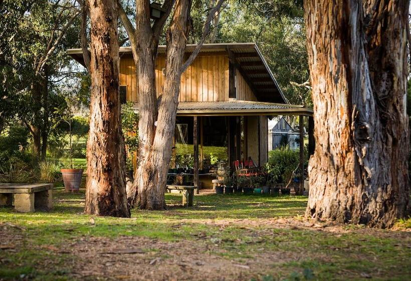 The Burrow At Wombat Bend