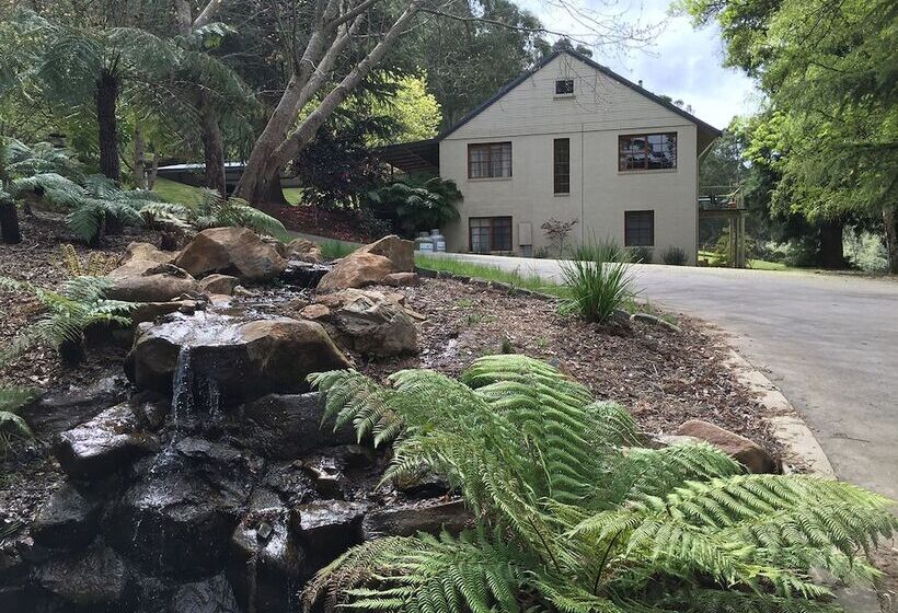 Toorongo River Sanctuary