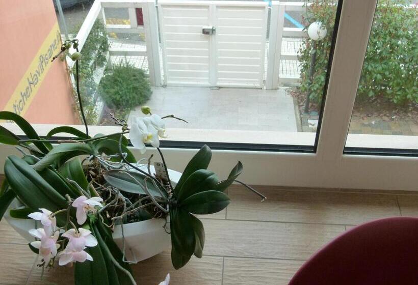 Vele Storiche Pisane