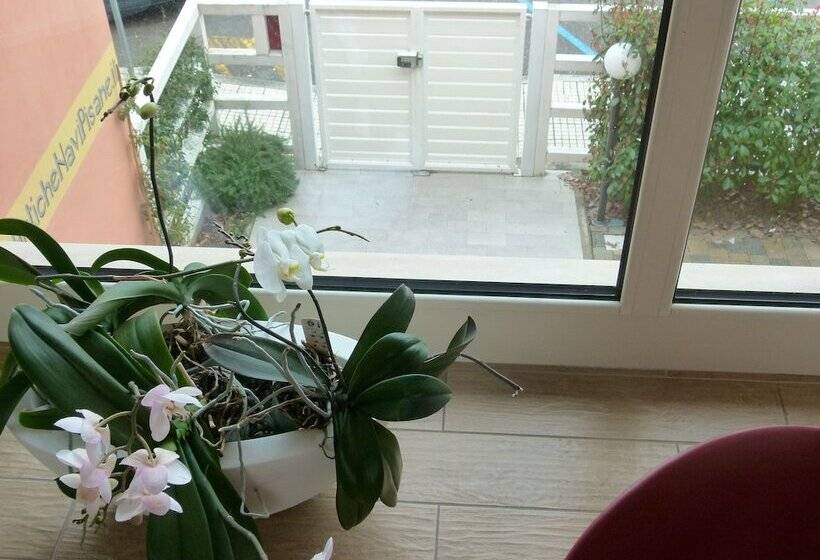 Vele Storiche Pisane