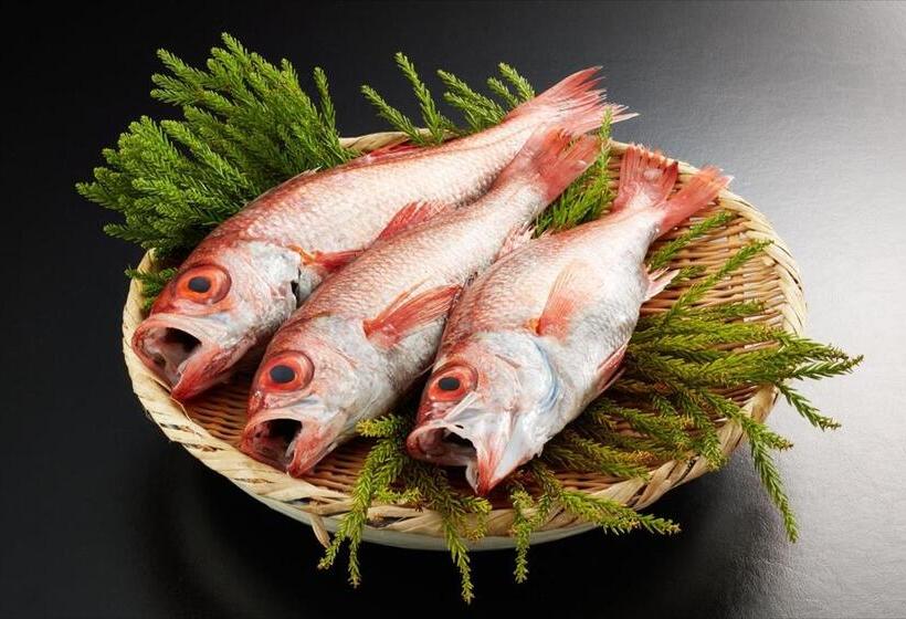 ريوكان Yumotoya