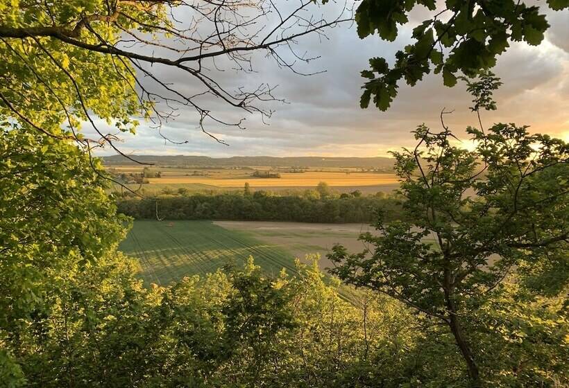 Bed and Breakfast Domaine De Quintalone