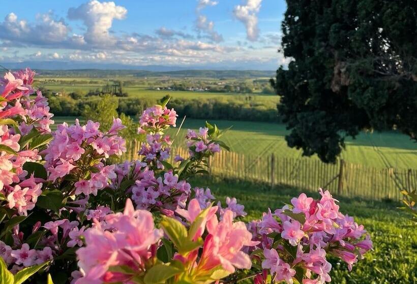 Bed and Breakfast Domaine De Quintalone
