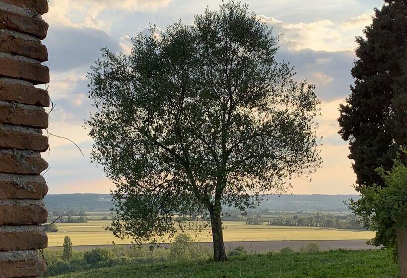 Bed and Breakfast Domaine De Quintalone
