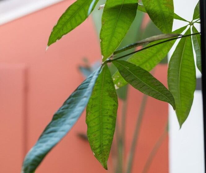 住宿加早餐  La Maison De Jean By Maison Bacou