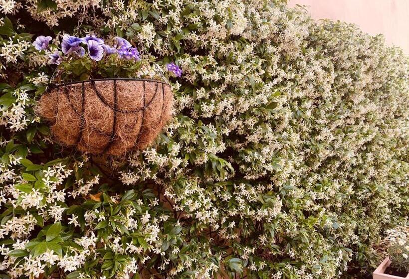 Отель Atrium Suites Mallorca