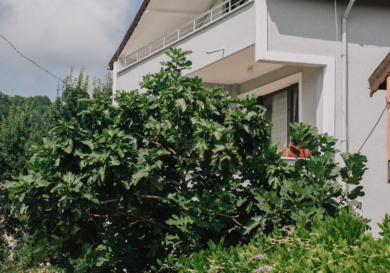 هتل Agva Marina House