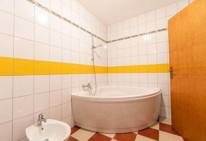 בית מלון כפרי Babic