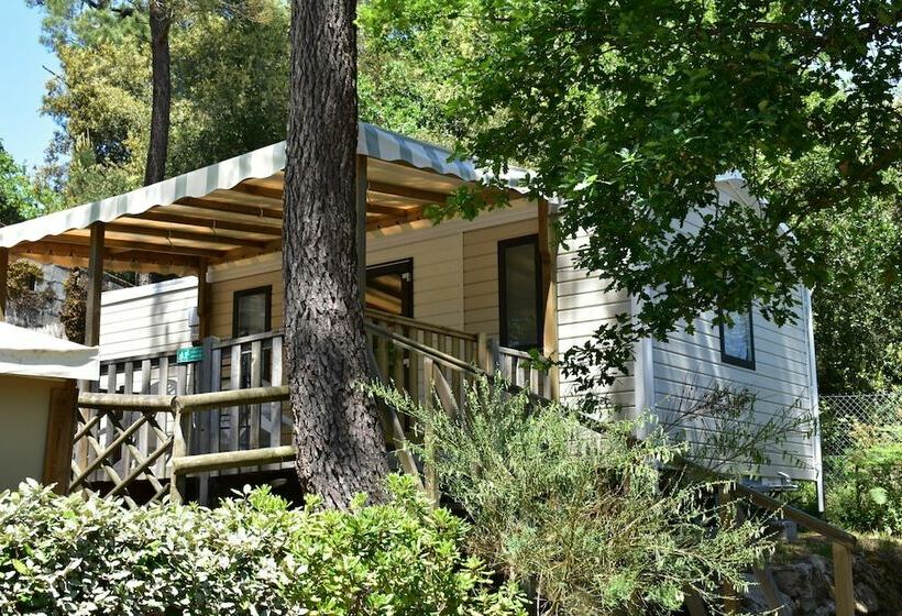 酒店 Camping Les Pins De Sel