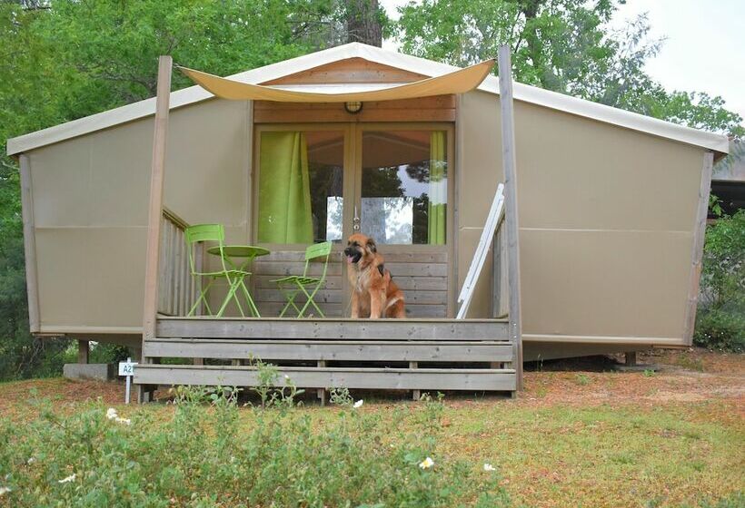 酒店 Camping Les Pins De Sel