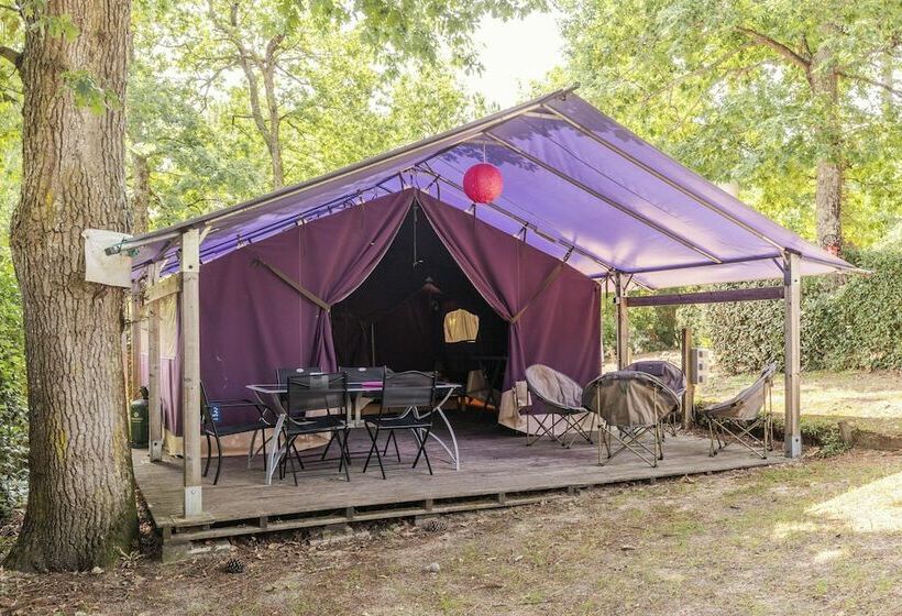 酒店 Camping Les Pins De Sel