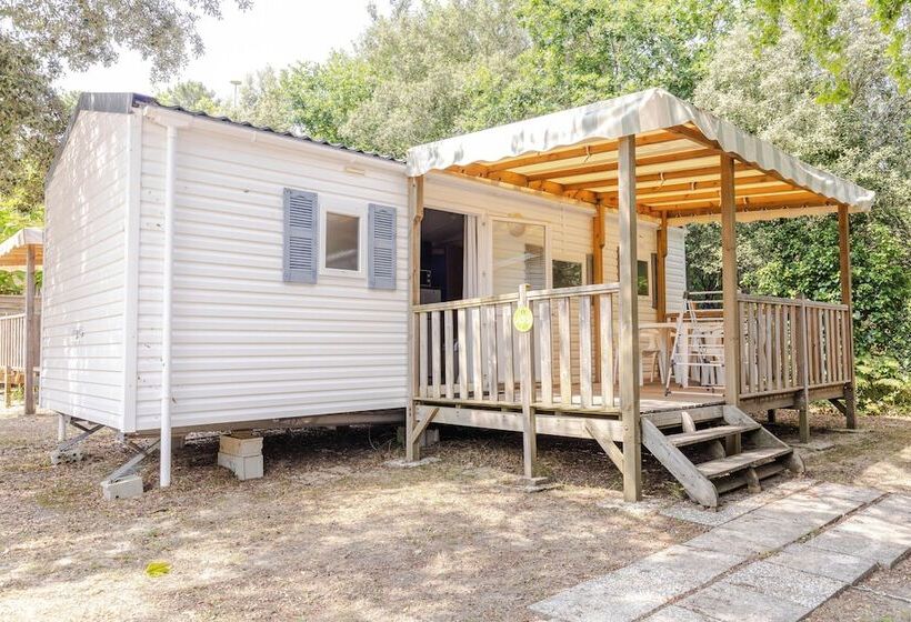 酒店 Camping Les Pins De Sel