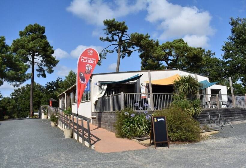 酒店 Camping Les Pins De Sel