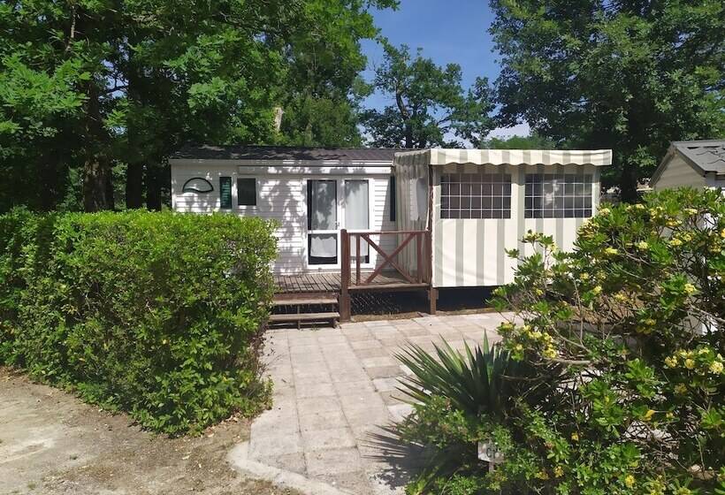 酒店 Camping Les Pins De Sel