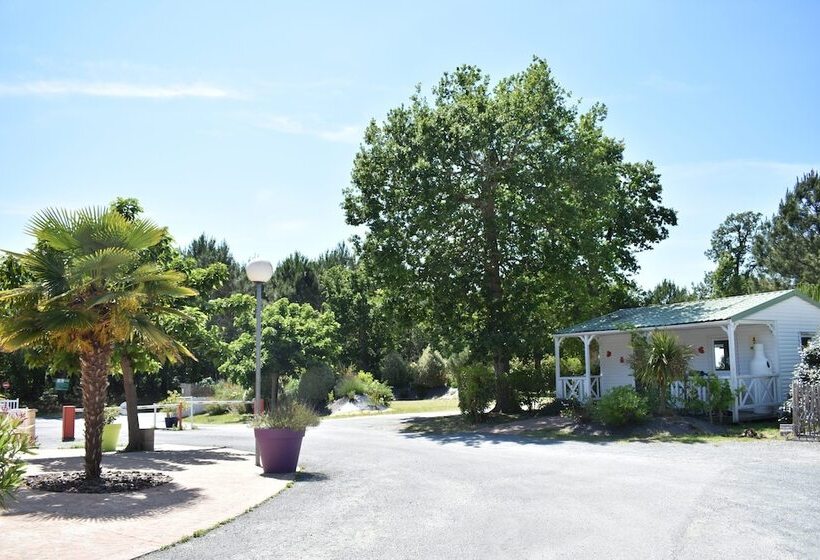 酒店 Camping Les Pins De Sel