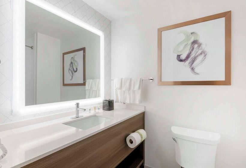 ホテル Comfort Suites St Augustine Historic District Area