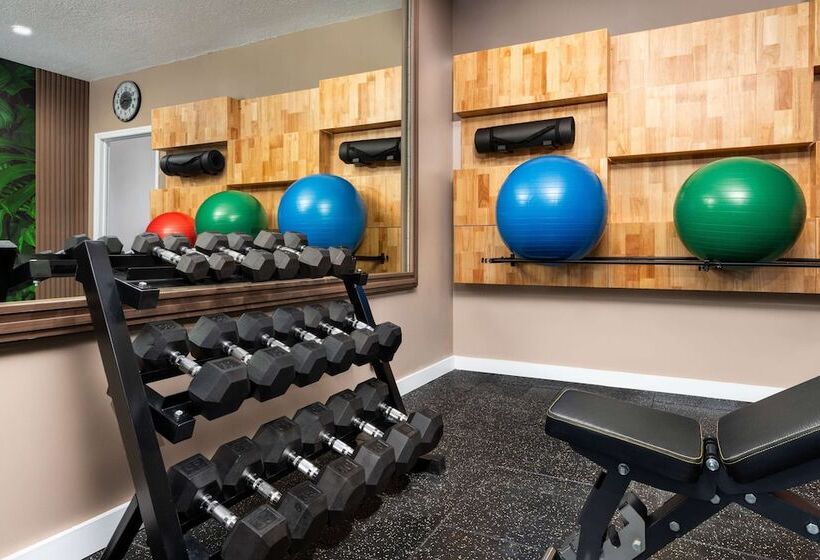 호텔 Dolce By Wyndham Hollywood