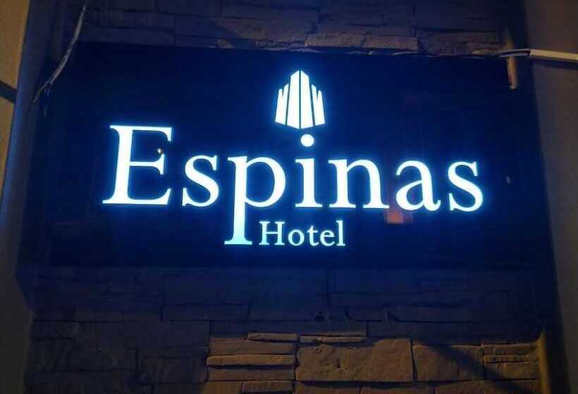 호텔 Espinas Taksim