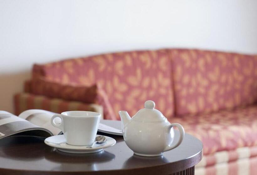 فندق Manganelli Palace