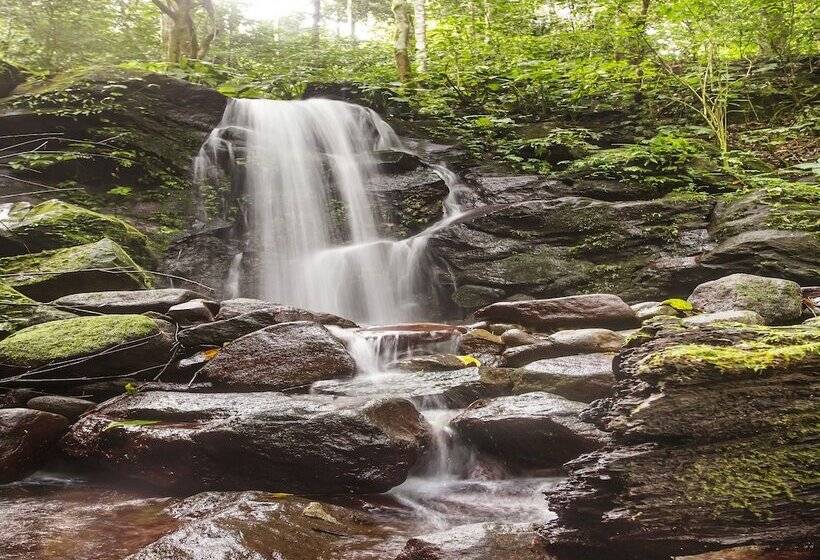 فندق Oyo Homes 91089 Desa Wisata Air Terjun Way Kalam Syariah