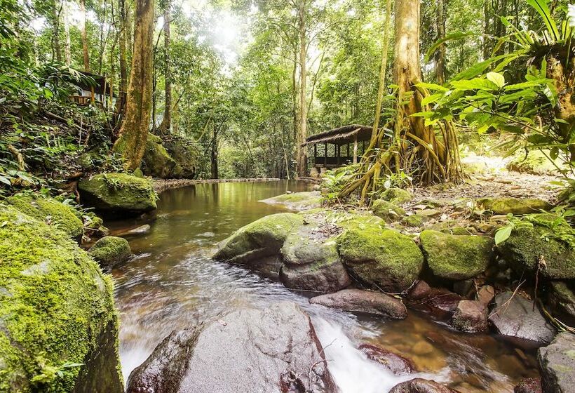 فندق Oyo Homes 91089 Desa Wisata Air Terjun Way Kalam Syariah