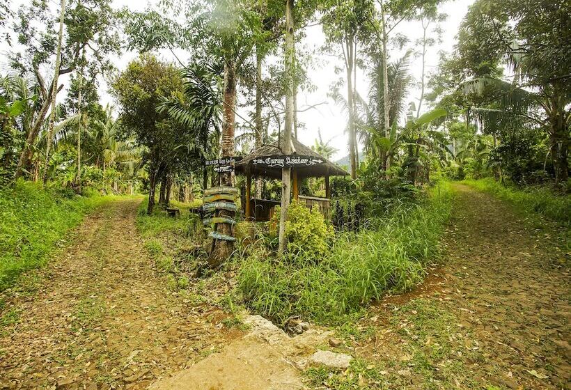 فندق Oyo Homes 91089 Desa Wisata Air Terjun Way Kalam Syariah