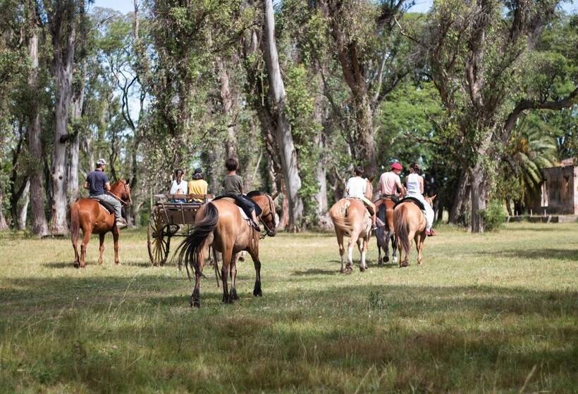 هتل Palacio Santa Candida
