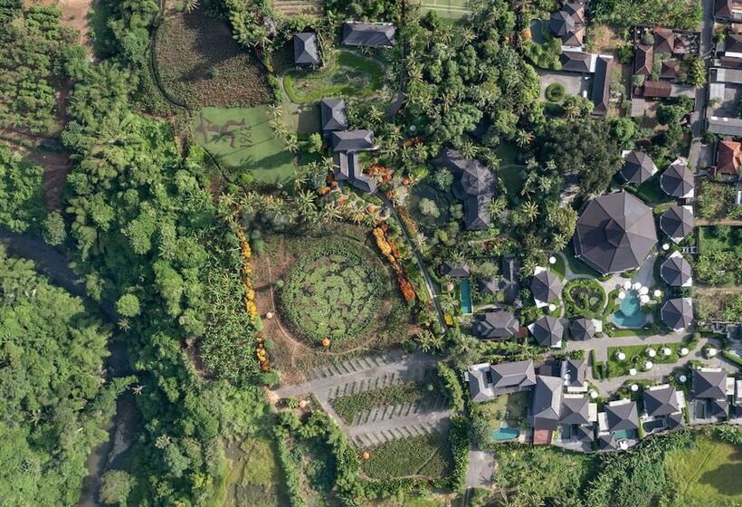 酒店 Swan Paradise A Pramana Experience