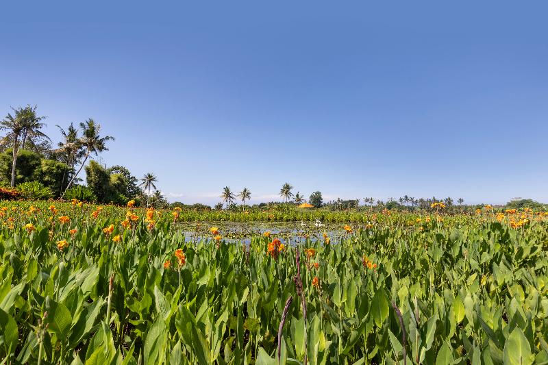 酒店 Swan Paradise A Pramana Experience