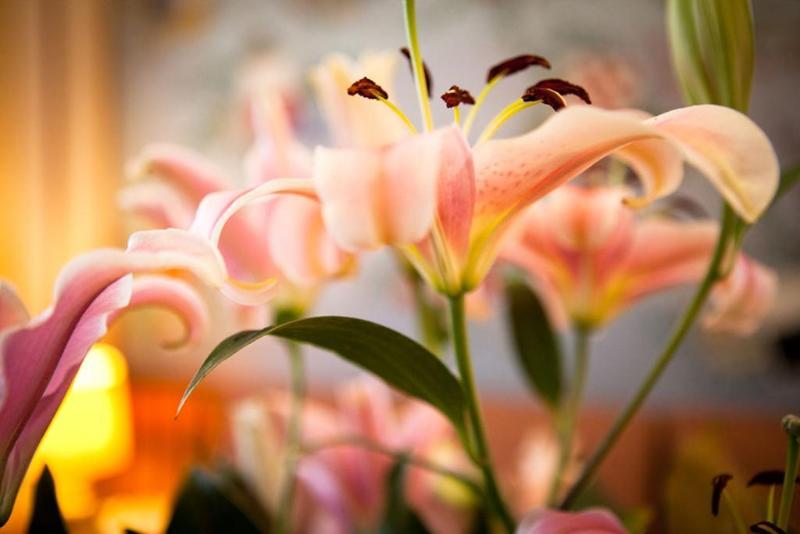 هتل Terminus & Plaza