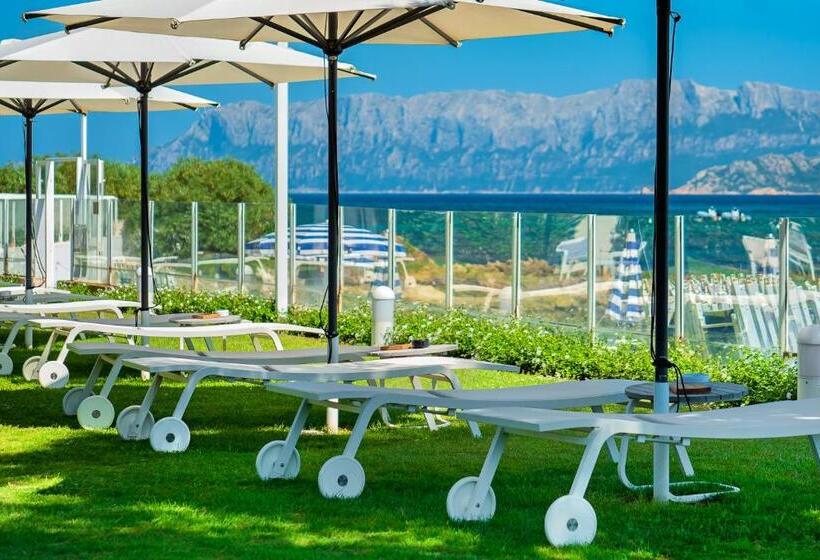 ホテル The Pelican Beach Resort & Spa  Adults Only