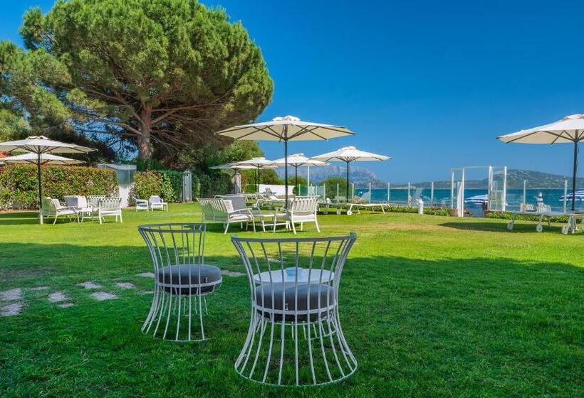 ホテル The Pelican Beach Resort & Spa  Adults Only