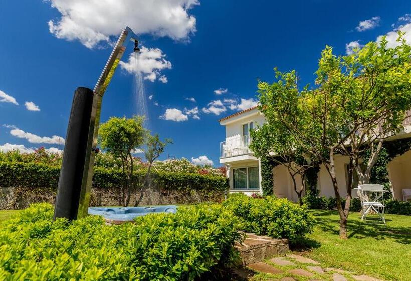 ホテル The Pelican Beach Resort & Spa  Adults Only