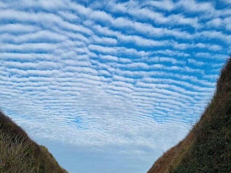 Parc Beausejour Dieppe