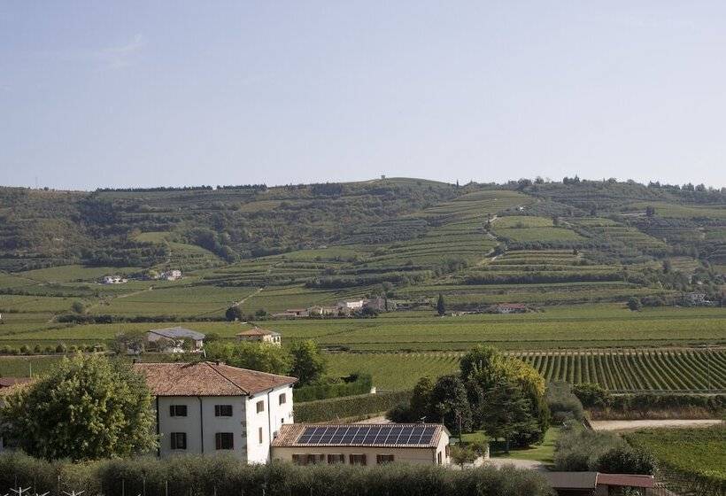 Verdeolivo1876   Apartments With Pool