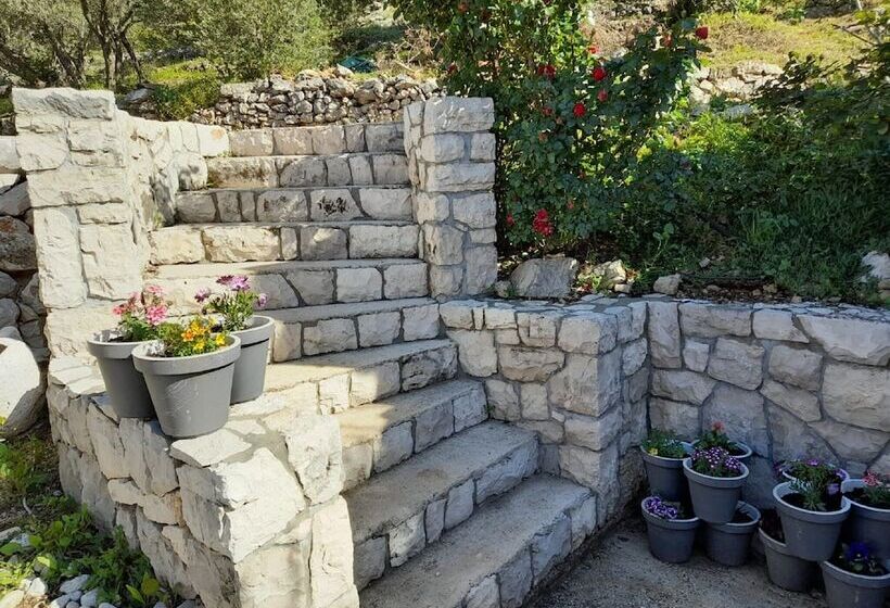 הוסטל Apartments Dalamar