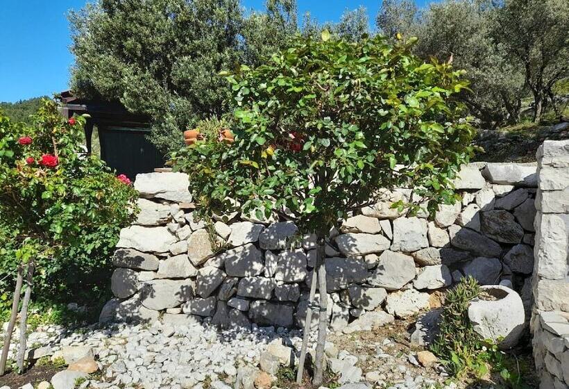 הוסטל Apartments Dalamar