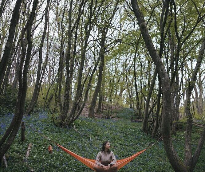 Dog Friendly Shepherd S Hut, Perfect For Couples