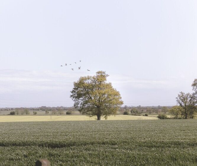 Dog Friendly Shepherd S Hut, Perfect For Couples