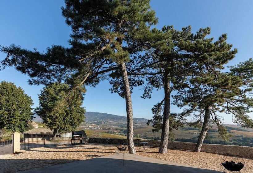 ホテル Château Du Souzy