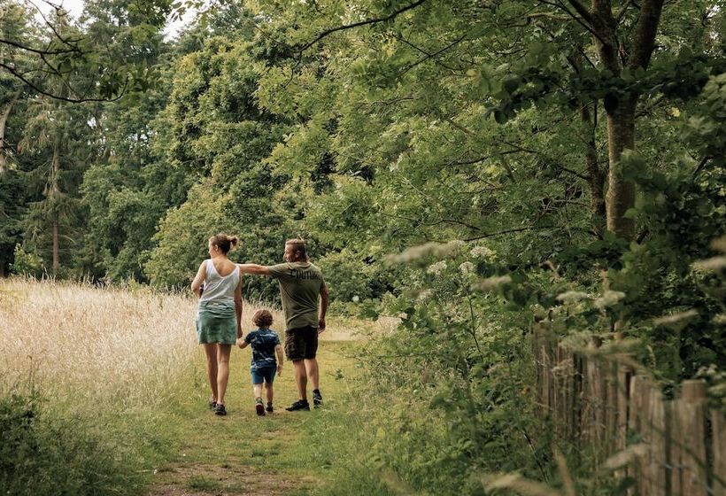 호텔 Fritton Lake The Clubhouse